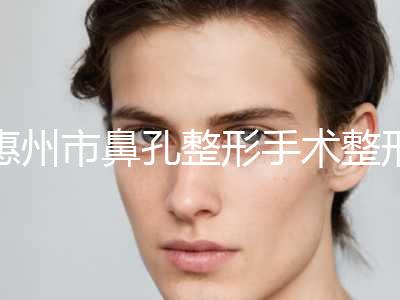 惠州市鼻孔整形手术整形美容科价格表2024-惠州市鼻孔整形手术均价为65788元