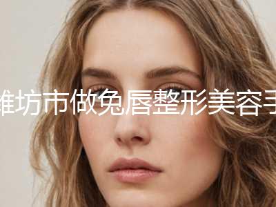 潍坊市做兔唇整形美容手术费用(8月-3月做兔唇整形均价为：99109元)