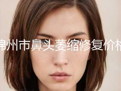 锦州市鼻头萎缩修复价格收费表价位一览-锦州市鼻头萎缩修复均价为8720元