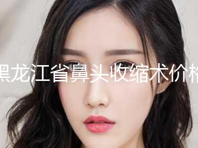 黑龙江省鼻头收缩术价格(收费标准)优惠2024(近6个月均价为：12622元)
