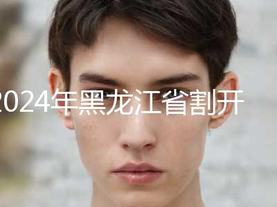2024年黑龙江省割开双眼皮手术价格明细展示-黑龙江省割开双眼皮手术均价为：9827元