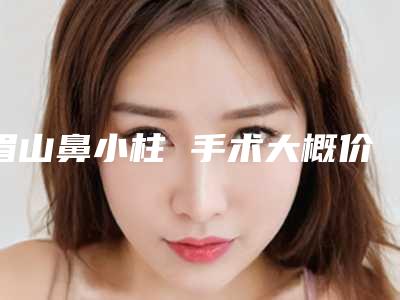 眉山鼻小柱 手术大概价格「眉山鼻小柱 手术费用有哪些影响因素」