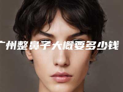 广州整鼻子大概要多少钱
