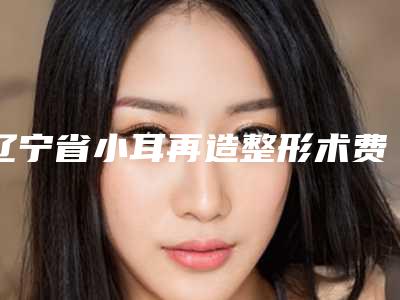 辽宁省小耳再造整形术费用表明细2025全新来袭速览-辽宁省小耳再造整形术均价为17915元