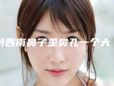 黔西南鼻子歪鼻孔一个大一个小手术的价格因素主要有哪些